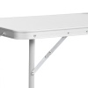 Стол складной Premier Fishing T-PR-T-60x120