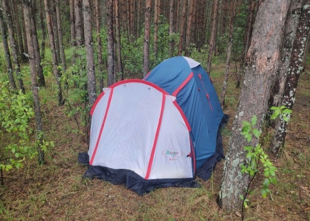 Палатка Canadian Camper RINO 3, цвет royal.