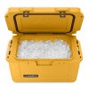 Изотермический контейнер Dometic Patrol 20 Mango