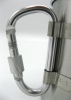 Кружка Tramp TRC-012 с карабином, 300 мл