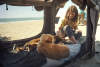 Надувная будка K9 80 AIR (Dog Tent XL)