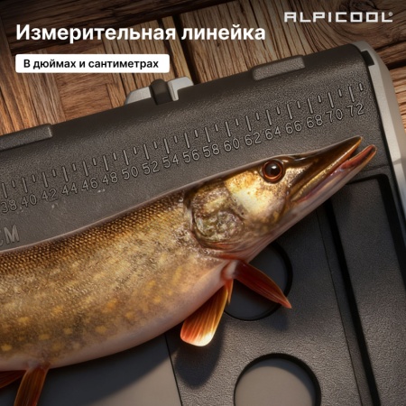 Компрессорный автохолодильник Alpicool TS100 (12/24)