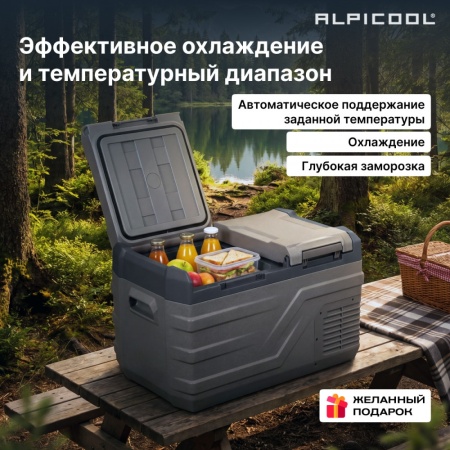 Компрессорный автохолодильник Alpicool NLD35 (12/24)