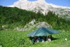 Тент ALEXIKA TARP 3M X 3,2M