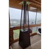 Уличный газовый обогреватель WWT 13I Total Brown