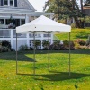 Тент садовый Green Glade 2101 2x2х3м полиэстер
