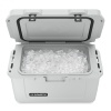 Изотермический контейнер Dometic Patrol 55 Mist