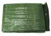 Тент Tramp Lite  6х10 м (терпаулинг, зеленый)