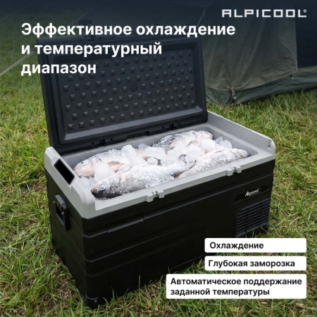 Компрессорный автохолодильник Alpicool TS100 (12/24)