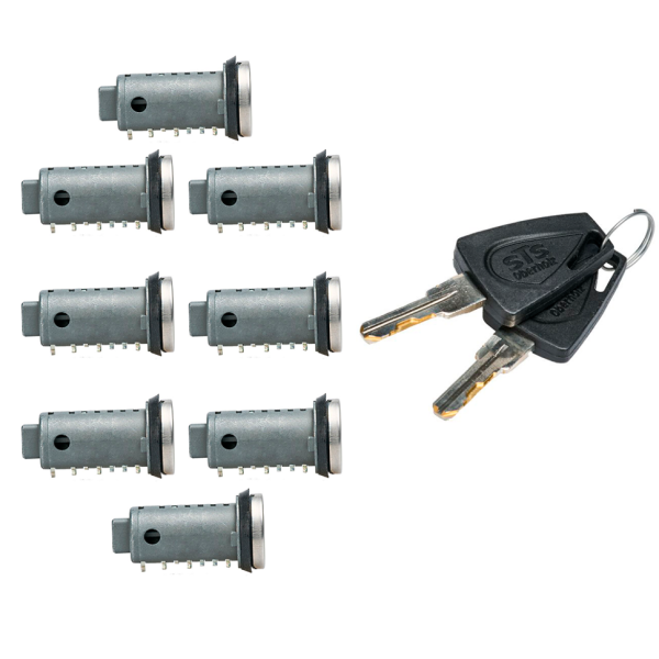 Комплект 8 личинок + 2 ключа типа STS