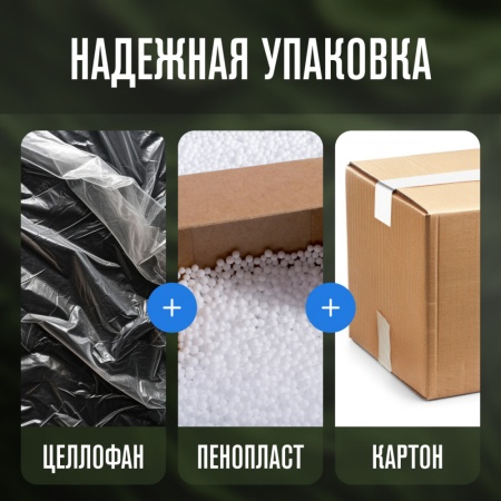 Компрессорный автохолодильник Alpicool NL40 (12/24)